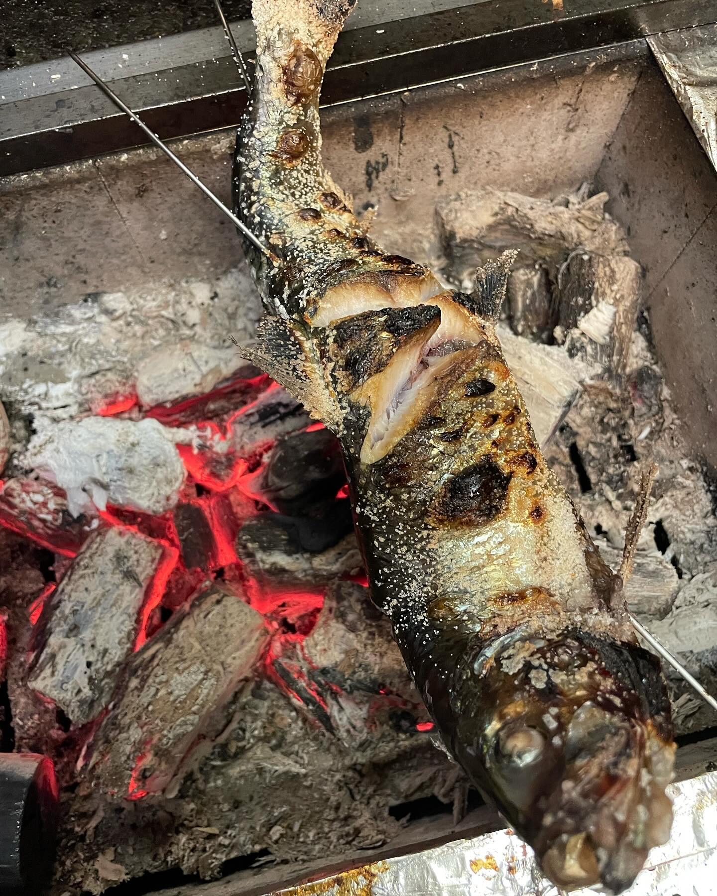 ニシンの塩焼き！
ニシンが役20cmオーバーで丸々塩焼きにしました！
身がふわふわでとても美味しいです。