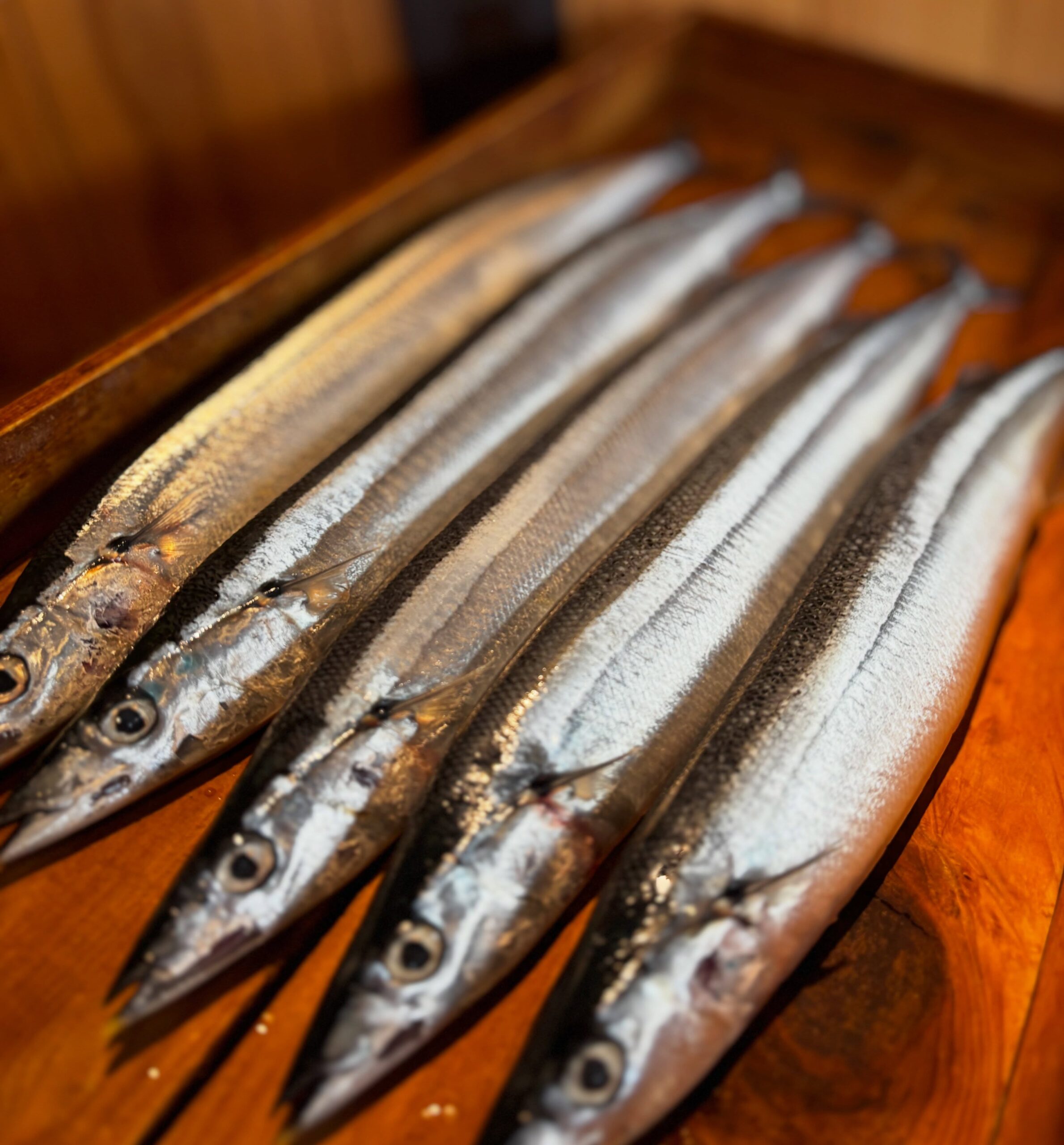 北海道産の新秋刀魚が入荷しました(//∇//)
お盆も明けて段々と秋が近づいて来ましたね。
皆さんはもう秋っぽい事見つけましたか？
僕は夜にコオロギが鳴いてて秋を感じましたw
僕たち以上に虫たちは敏感ですよねぇ